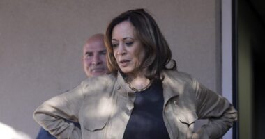 Kamala Harris's Interview Looked a Lot Like This Star Trek Episode – RedState