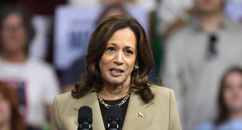 Kamala Has Weakest Democrat Lead Among Latinos and Union Workers in a Generation.