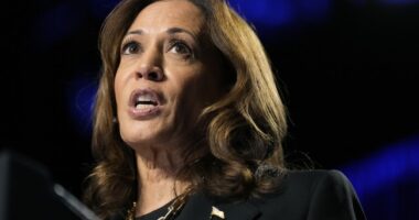 Kamala Visits Semiconductor Facility, Tries to Touch Razor-Sharp Objects – RedState