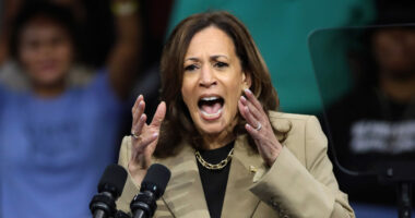 Kamala’s Favorability Dips Sharply.