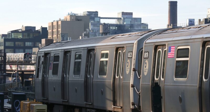 Prayers Up! Girl, Krystel Romero, Dead, Another Reportedly Injured Following Subway Surfing Incident In New York City