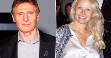 Liam Neeson admits he's 'madly in love' with co-star Pamela Anderson