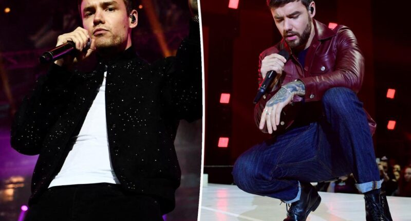 Liam Payne dropped by record label days before his death: report