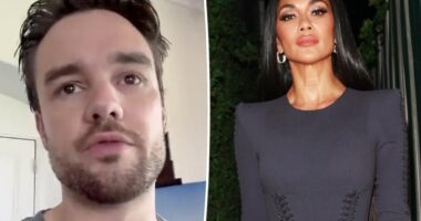 Liam Payne was texting with Nicole Scherzinger on the day he died