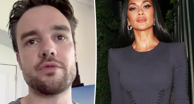 Liam Payne was texting with Nicole Scherzinger on the day he died