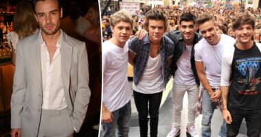 Liam Payne's Netflix series 'Building the Band' reportedly on hold after singer's death