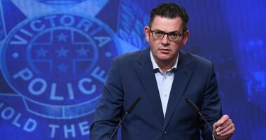 The report called out the strict lockdown enforcement tactics used by NSW and Victoria. Pictured: Former Victoria Premier Dan Andrews