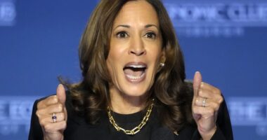 Looks Like Some 'Call Her Daddy' Fans Were NOT Happy With Kamala Being on Show – RedState