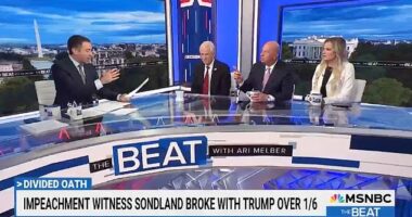 MSNBC's Ari Melber (left) was left shocked when Gordon Sondland (center right), a star witness during former President Donald Trump 's first impeachment, said he planned to vote for the Republican nominee