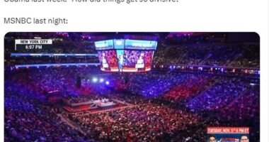 Social media users including women's rights activist Riley Gaines expressed outrage at MSNBC over the comparison