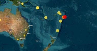 A magnitude 6.5 earthquake has struck off the coast of Tonga