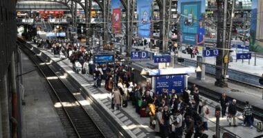 Marburg virus outbreak in Germany: Suspected virus cases test negative in Hamburg amid fears of outbreak