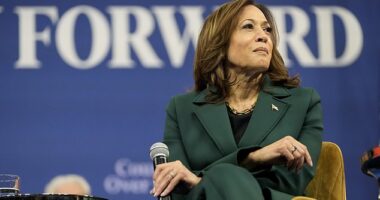 Democratic presidential nominee Vice President Kamala Harris remains unable to provide evidence that she worked at McDonald's as former President Donald Trump repeatedly claims that she lied about it.