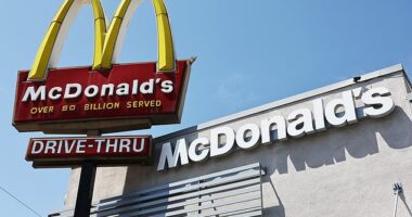 McDonald's in the UK has introduced a new meal deal in the UK. For £5, diners can get a cheeseburger or a mayo chicken sandwich, plus a medium drink, fries and four chicken nuggets. Alternatively, the fries can be swapped out for a fruit bag with apple slices and grapes, side salad, or cucumber sticks (stock image)