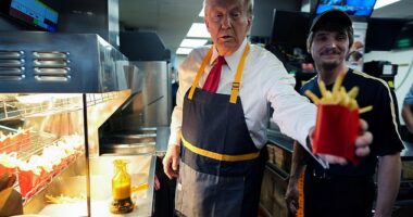 Former President Donald Trump visited a McDonald's in Bucks County, Pennsylvania Sunday in suburban Philadelphia. The owner has employed private security after receiving threatening phone calls