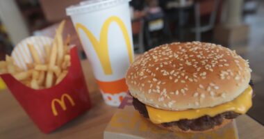 McDonald’s stock plunges as Quarter Pounders linked to E. coli outbreak, CDC says