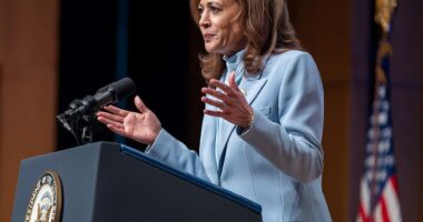 Media 'Pounce' To Cover Up Kamala Harris' Plagiarism Scandal