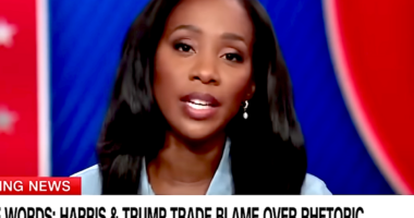 Media's Revolting, Dishonest Insult Game Ends With 2024 Election