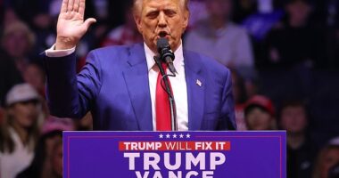 Megyn Kelly praised former President Donald Trump praised Trump for staying on message at his New York City rally Sunday night, saying he did a 'great job'