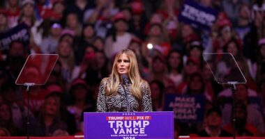 Melania Trump stunned the crowd at Madison Square Garden when she made a surprise appearance