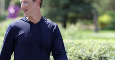 Meta has a key asset in the AI race — and that spurs a new bullish stock call