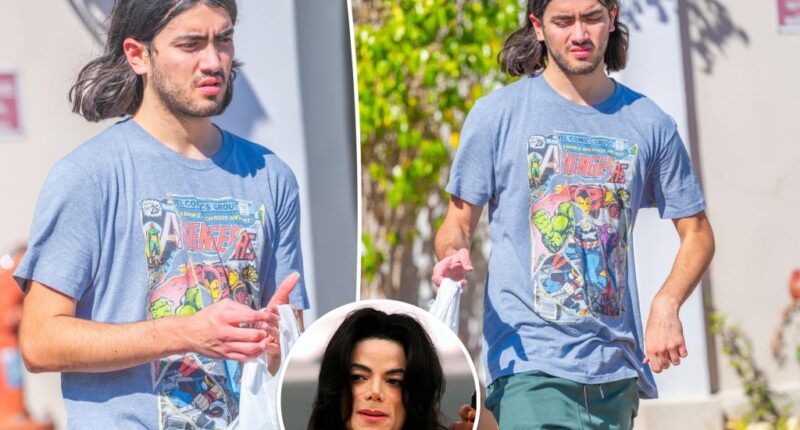 Michael Jackson's rarely seen son Blanket, 22, steps out to grab lunch in Calabasas