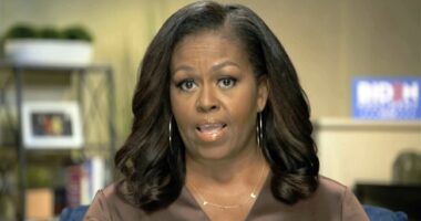 Michelle Obama Remarks for Harris in MI Just Might Be the Funniest Thing You Hear Today – RedState