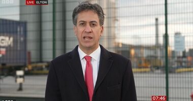 The Cabinet minister branded the current law 'cruel' towards those who are in the late stage of a terminal illness and in great pain.