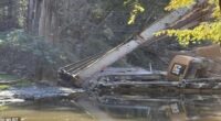 The bridge over Strong River on Highway 149 in Mississippi collapsed in a 'work-site accident' while a contractor was in the process of demolishing it for a bridge replacement project