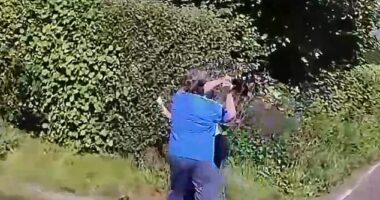 Paula Attwood-Rees (pictured in blue t-shirt) assaulted a woman after hitting her over the head with a shovel