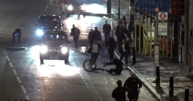 A man on an electric bike was stopped by brave passersby just a few seconds after stealing a woman's iPhone