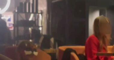 A young furry was spotted in a Moscow hookah bar after being led in by her mother on a leash