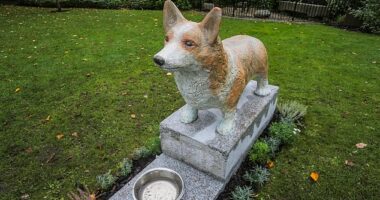 A pair of giant corgis commissioned in memory of the late Queen, set tongues wagging after they were unveiled in Walsall Arboretum