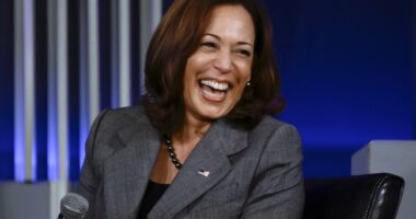 More Kamala '60 Minutes' Clips Show Why Her Campaign Is Doomed After Border and Gun Comments – RedState