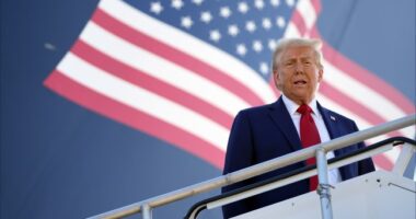 More Trump Joy in PA, As Steelworkers and Steelers Fans Roar in Support – RedState