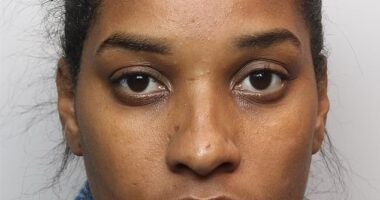 Larissa Lins, 27, denied she had brought anything illegal into the country, she voluntarily showed officers pictures of her time in France.