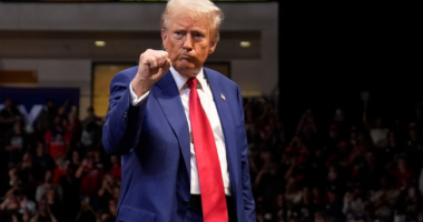 Much to Democrats' Chagrin, No Nazis Were Found at Trump's MAGA Square Garden Rally – RedState