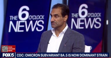 NYC Official Demands State Revoke Covid Czar's Medical License