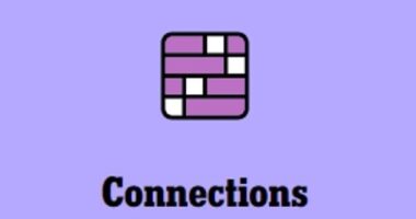 Wednesday's New York Times Connections puzzle has left players outraged over a very tricky hint