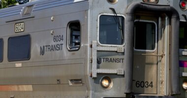 Prayers Up! Operator Dead, At Least 20 Reportedly Injured After New Jersey Transit Train Crashed Into Fallen Tree
