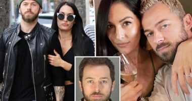Nikki Garcia granted restraining order against Artem Chigvintsev after his domestic violence arrest