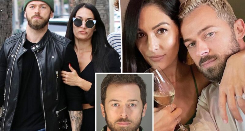 Nikki Garcia granted restraining order against Artem Chigvintsev after his domestic violence arrest