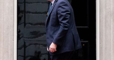 Keir Starmer has had a portrait of William Gladstone removed from No10 after critics slammed the 19th Century PM for his links to the slave trade, it was claimed today