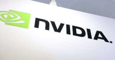 Nvidia, AMD shares extend drops as investors get spooked — but should they be?