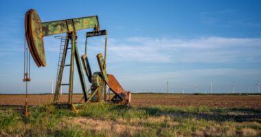 Oil settles higher after last week’s 8% drop as traders weigh China demand concerns
