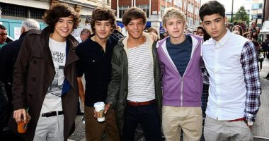 In a statement signed 'Louis, Zayn, Niall and Harry', Liam Payne's One Direction bandmates said they were 'completely devastated'