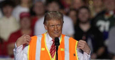 Orange Vest-Wearing Trump Tells WI Crowd Hilarious Story of How Garbage Truck Ride Came to Happen – RedState