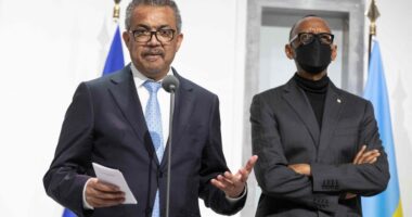 Outbreaks of Marburg virus, Mpox and avian flu underscore need for reset of pandemic preparedness, report says