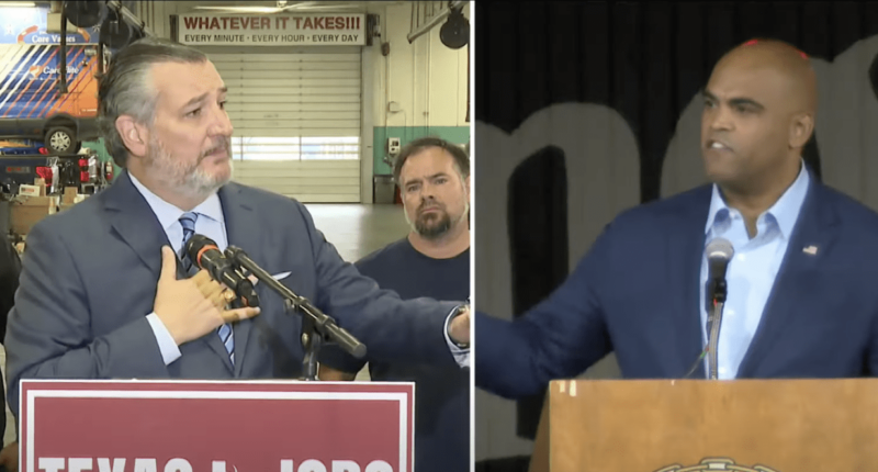 POLL: Majority of Texas Voters Believe Colin Allred and Kamala Harris Will Undermine the Second Amendment