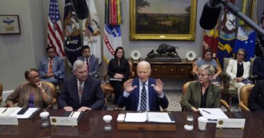 POTATUS Remembers to Act Presidential, Even Postpones African Safari – HotAir